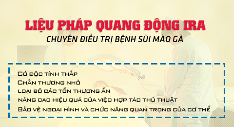 Quang dong IRA